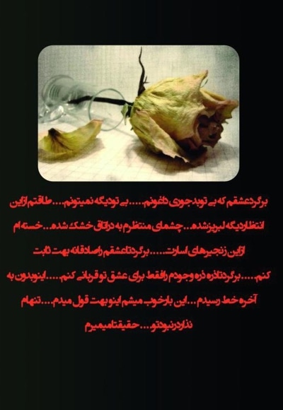 سهم من از زندگی